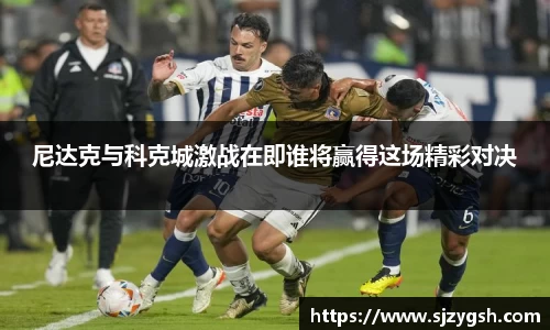 DB电竞官方网站